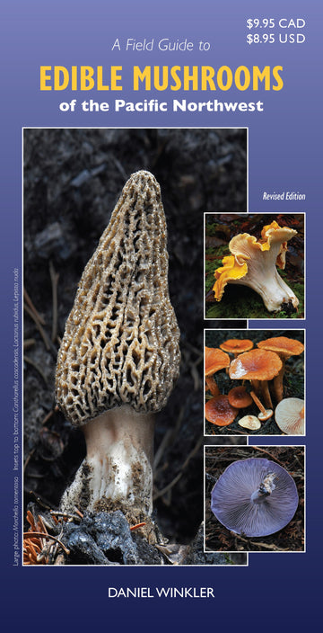 A Field Guide to Edible Mushrooms of the Pacific Northwest : Revised Edition