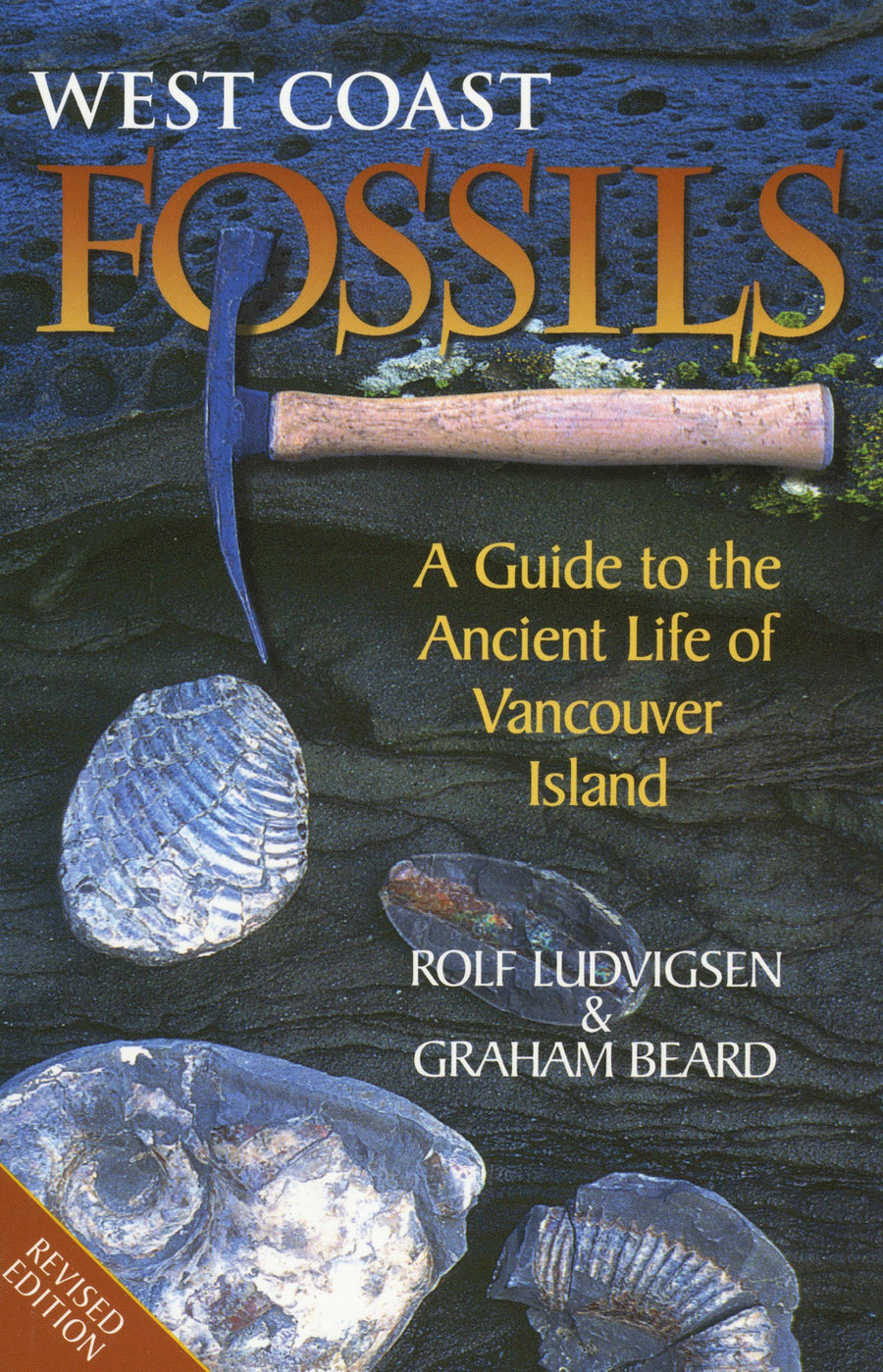 West Coast Fossils : A Guide to the Ancient Life of Vancouver Island
