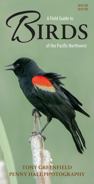 A Field Guide to Birds of the Pacific Northwest