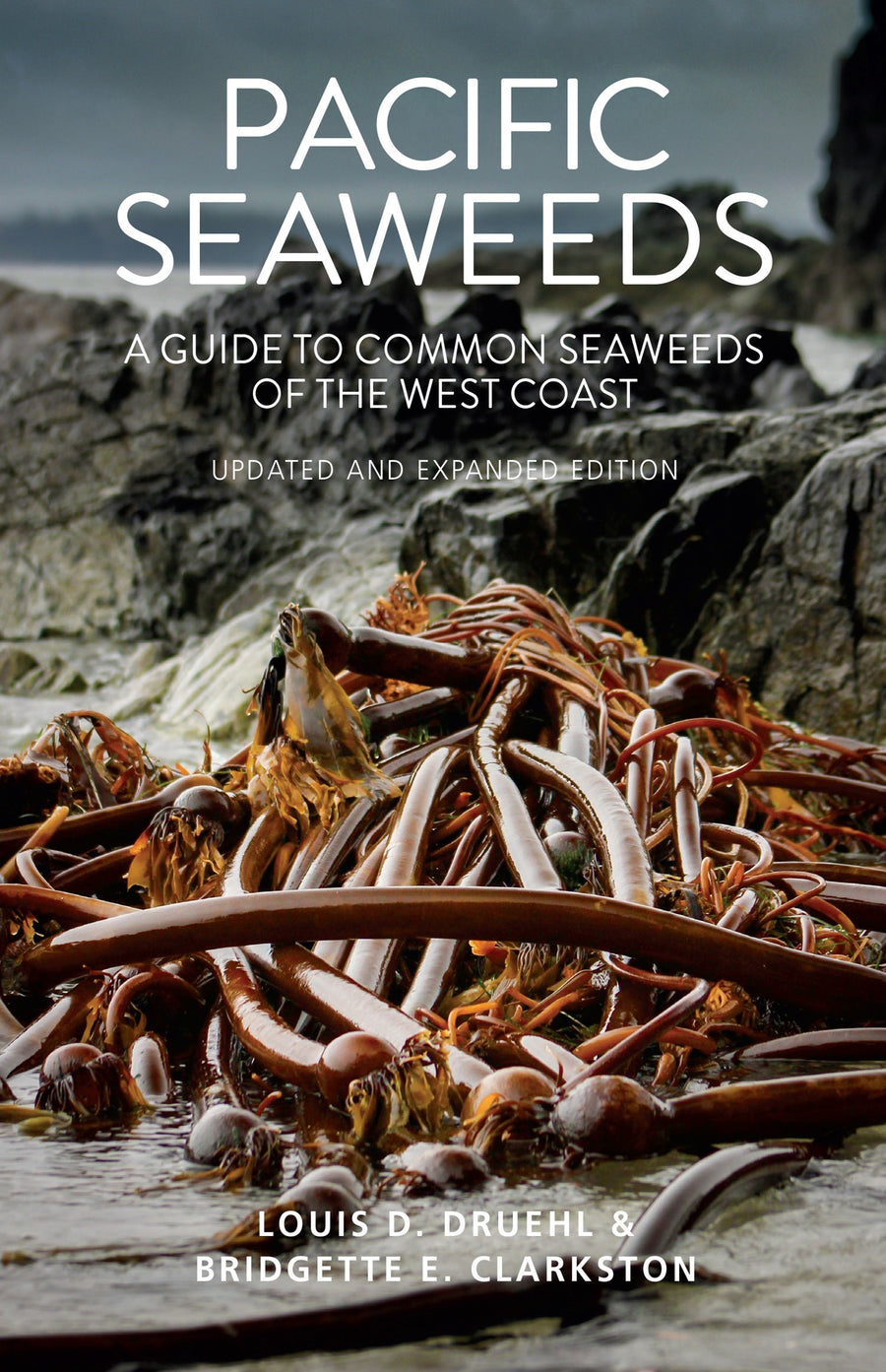Pacific Seaweeds : Updated and Expanded Edition
