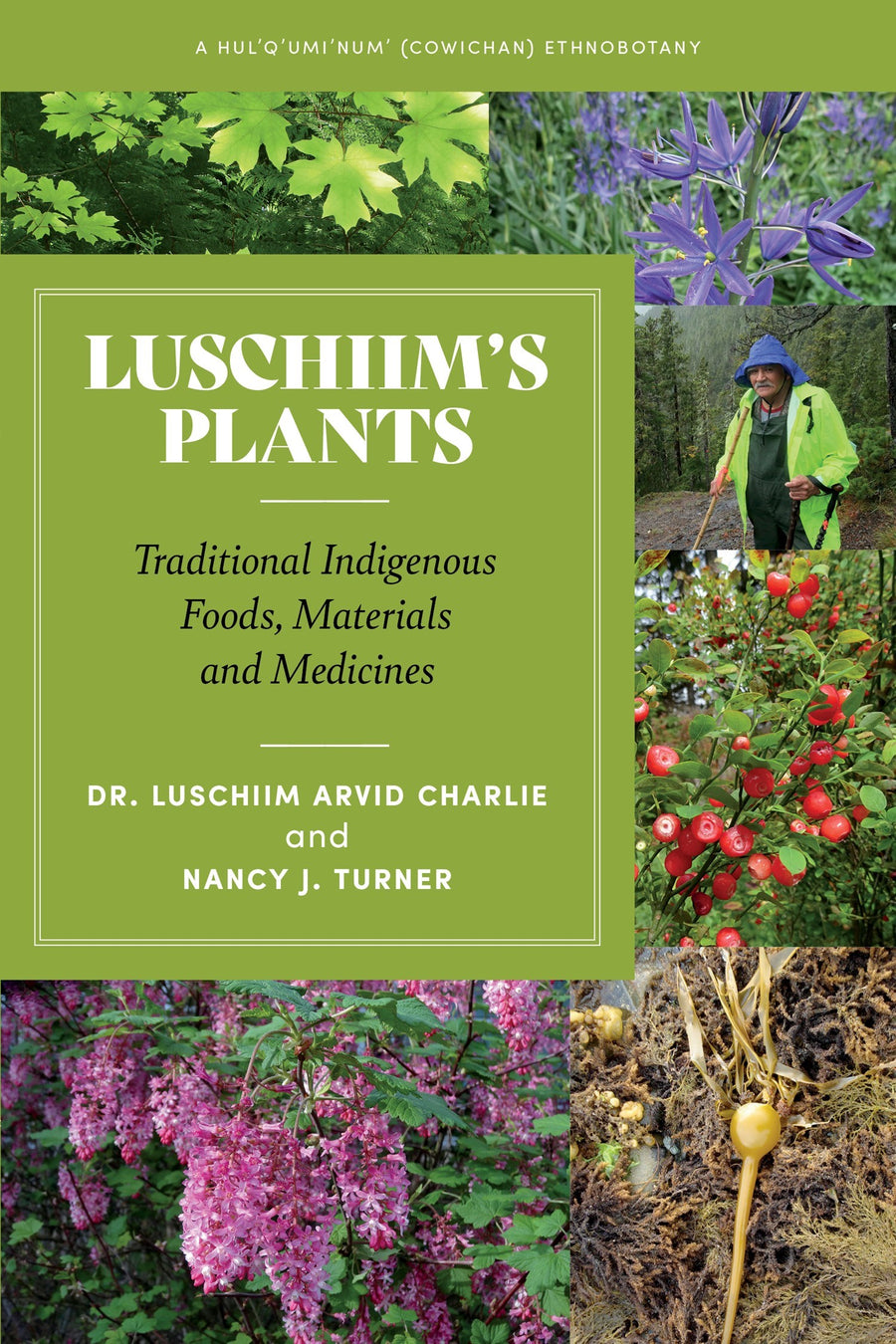Luschiim’s Plants : Traditional Indigenous Foods, Materials and Medicines