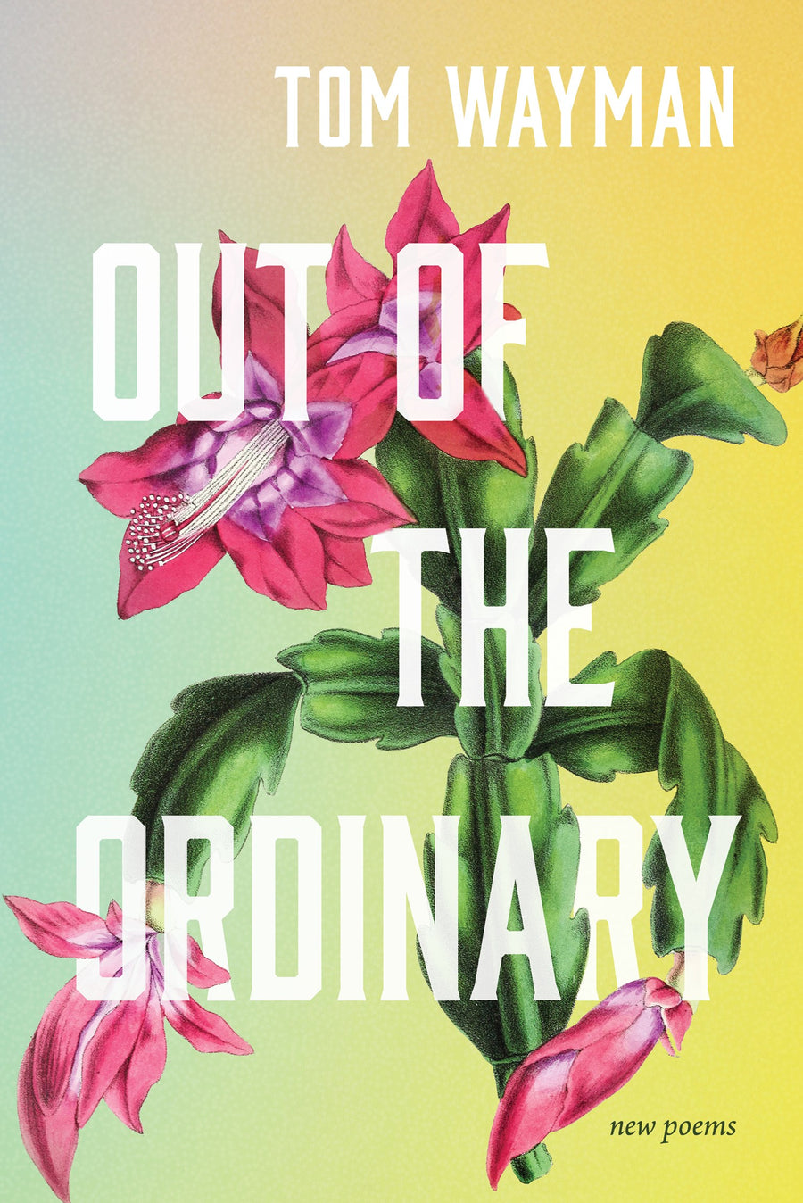 Out of the Ordinary : New Poems