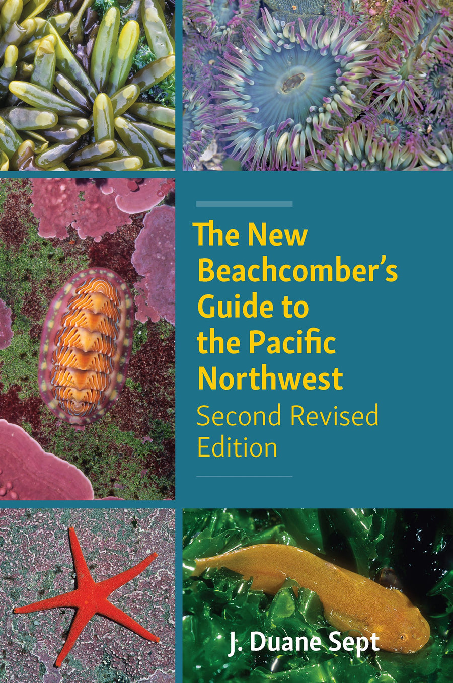 The New Beachcomber’s Guide to the Pacific Northwest : Second Revised Edition