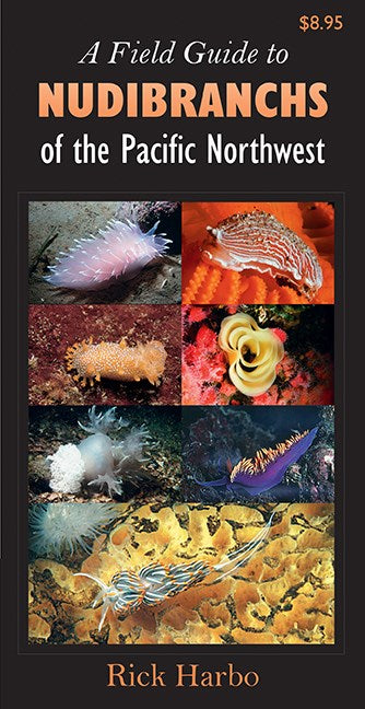 A Field Guide to Nudibranchs of the Pacific Northwest