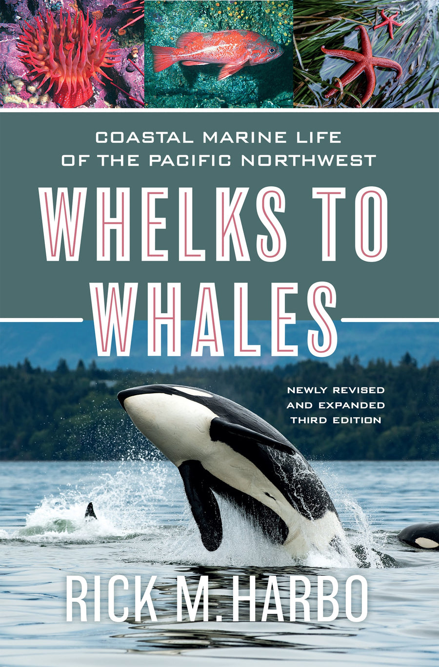 Whelks to Whales : Coastal Marine Life of the Pacific Northwest, Newly Revised and expanded Third edition