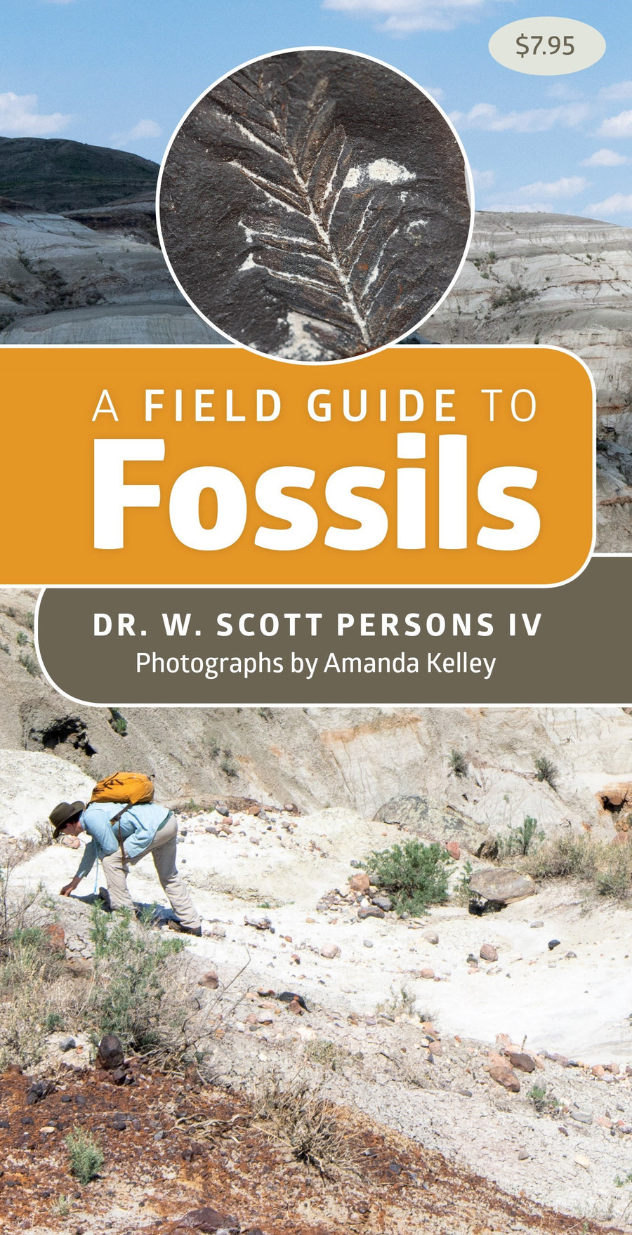 A Field Guide to Fossils