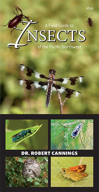 A Field Guide to Insects of the Pacific Northwest