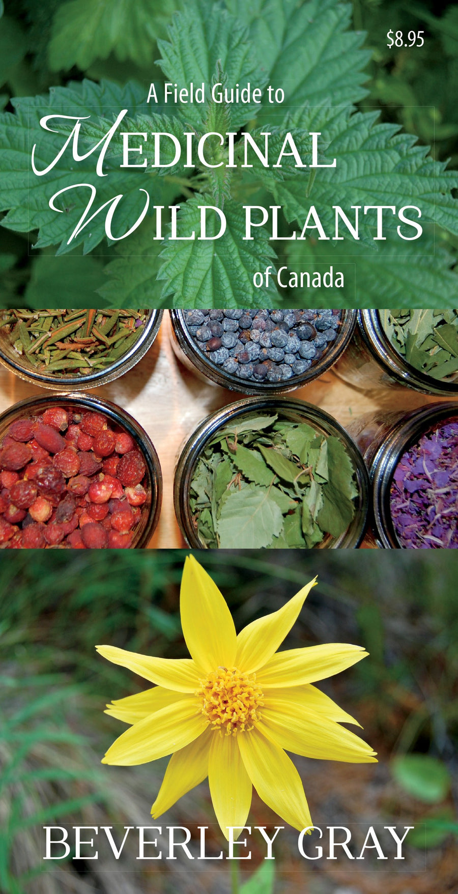 A Field Guide to Medicinal Wild Plants of Canada
