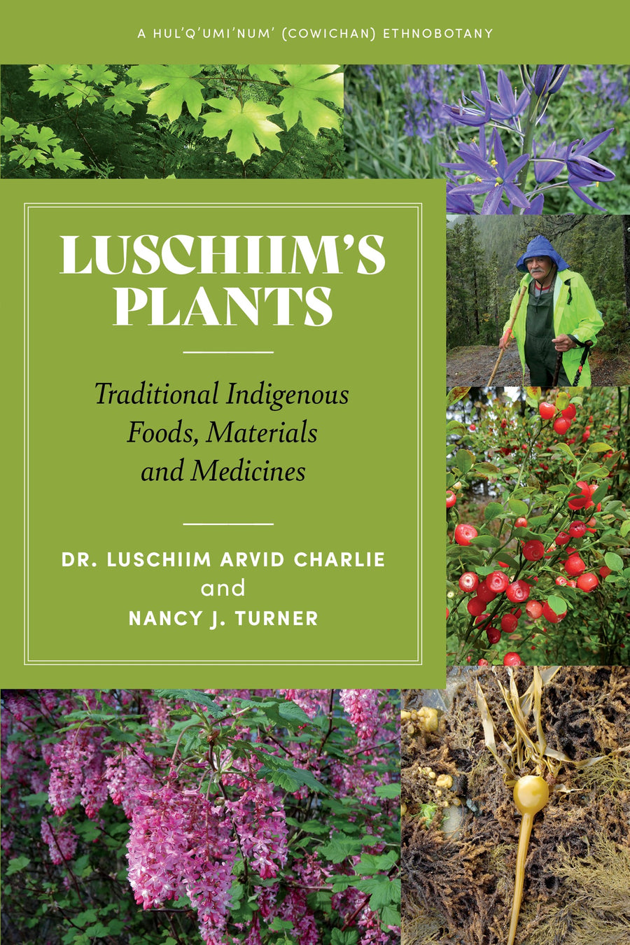 Luschiim’s Plants : Traditional Indigenous Foods, Materials and Medicines