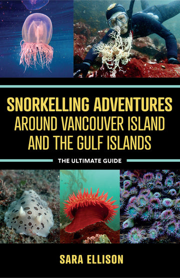 Snorkelling Adventures Around Vancouver Island and the Gulf Islands : The Ultimate Guide